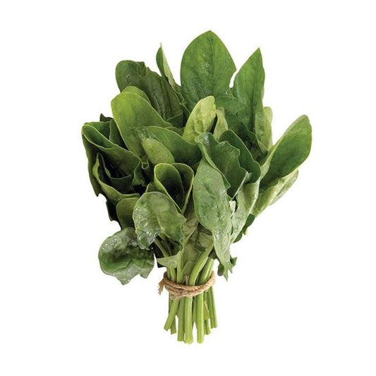 Espinaca