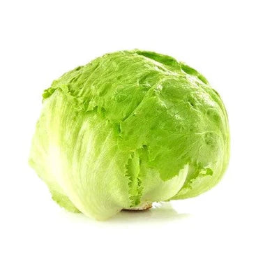 Lechuga romana fresca