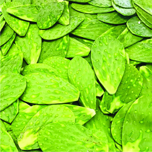 Nopal limpio
